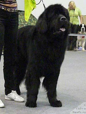 Фотография № 32729