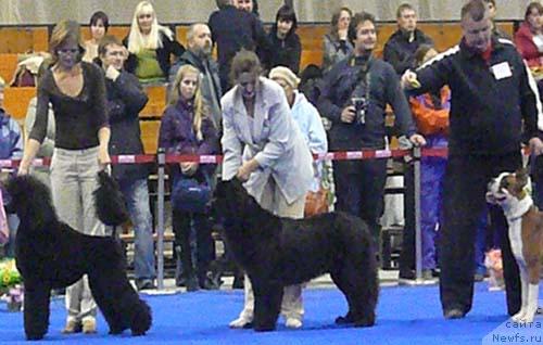 Фотография № 32743