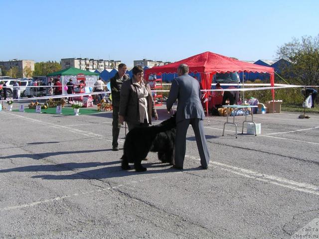 Фотография № 32767