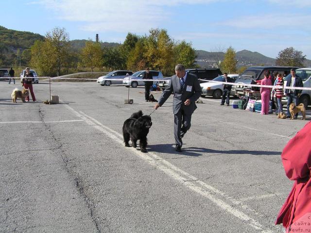 Фотография № 32768