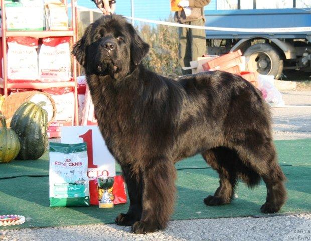 Фотография № 32770