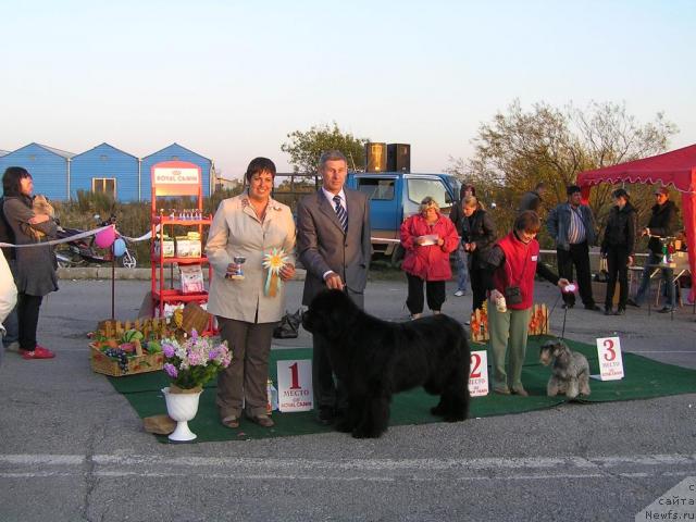 Фотография № 32772