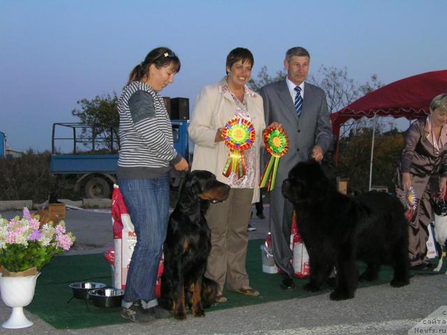 Фотография № 32773