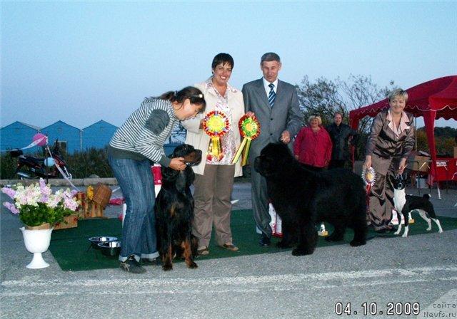 Фотография № 32774