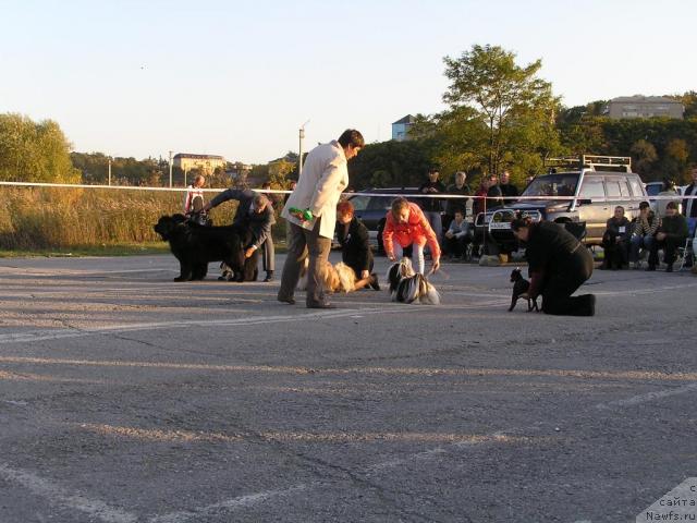 Фотография № 32775