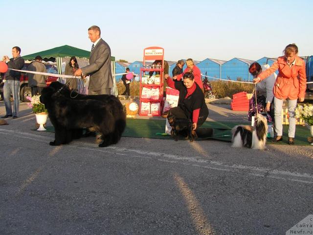 Фотография № 32777