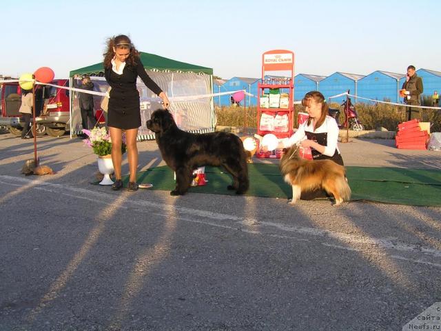 Фотография № 32778