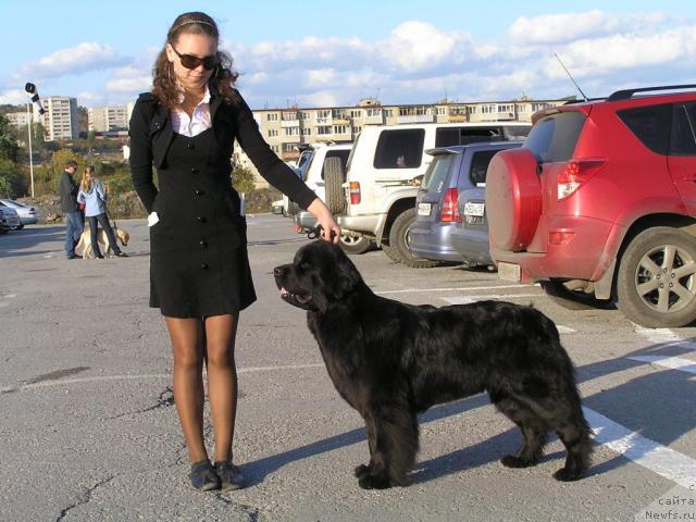 Фотография № 32779