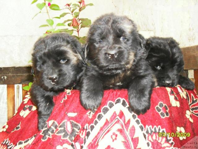 Фото: Людмила Новикова