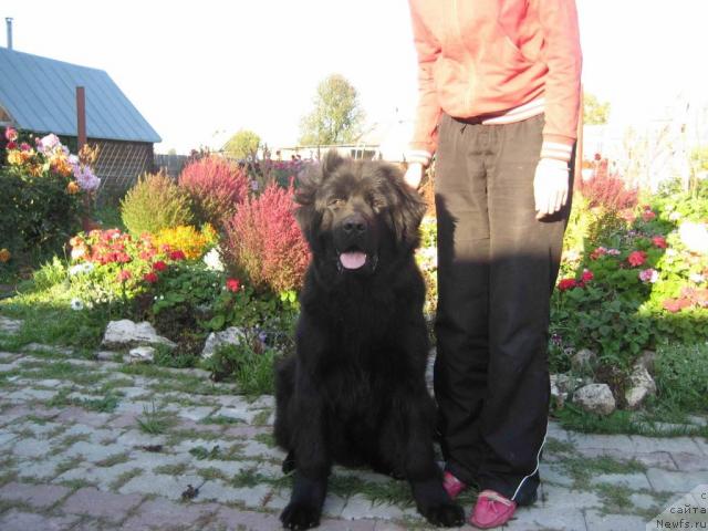 Фотография № 32791