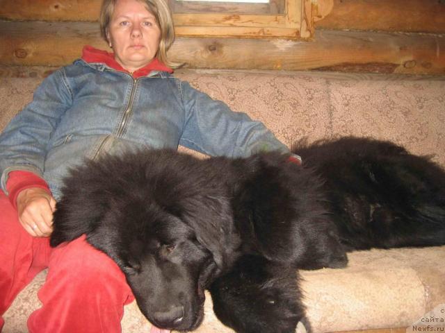 Фото: Светлана Пермякова