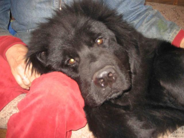 Фотография № 32794