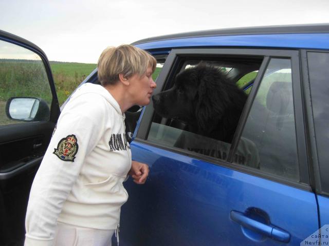 Фотография № 32795