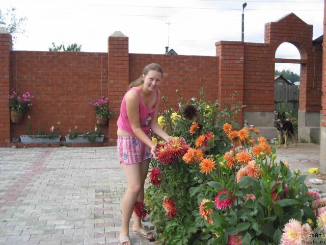 Фотография № 32796