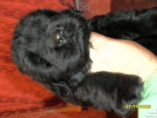 Фото: Людмила Новикова