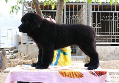 Фотография № 32832