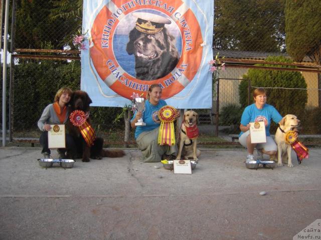 Фото: Мария Корнакова, Татьяна Бурцева, Марина Новоселова