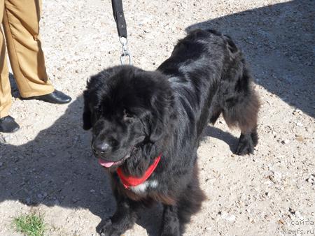 Фотография № 32926