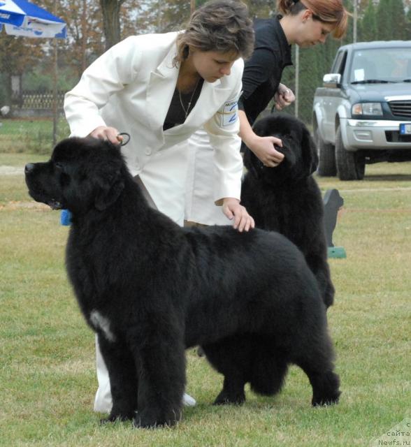 Фотография № 32964