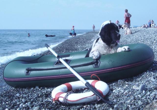 Фотография № 32965