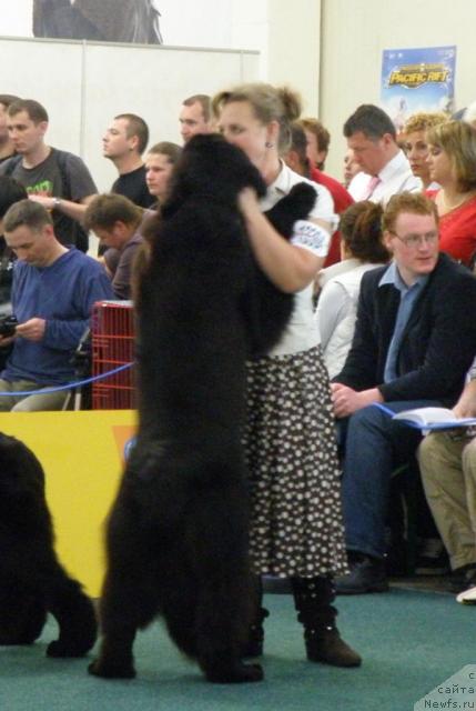 Фотография № 32970