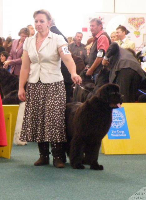 Фотография № 32971