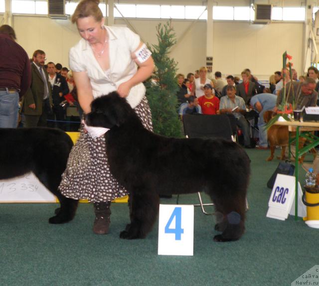 Фотография № 32972