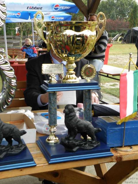 Фотография № 32977