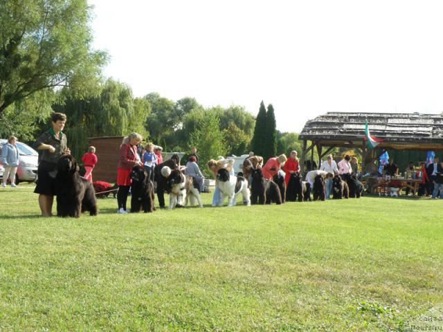 Фотография № 32979