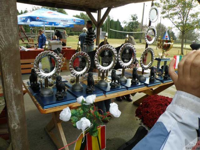 Фотография № 32982