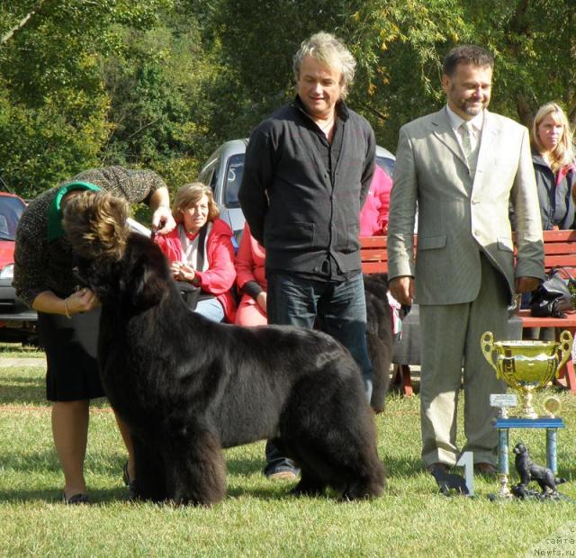 Фотография № 32991