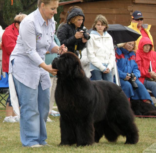 Фотография № 32993