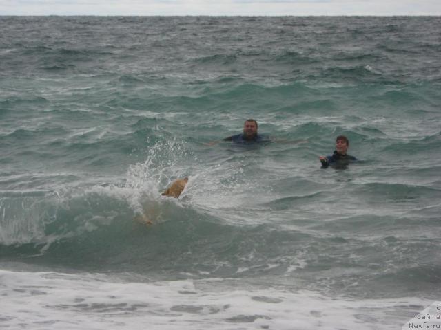 Фотография № 32995