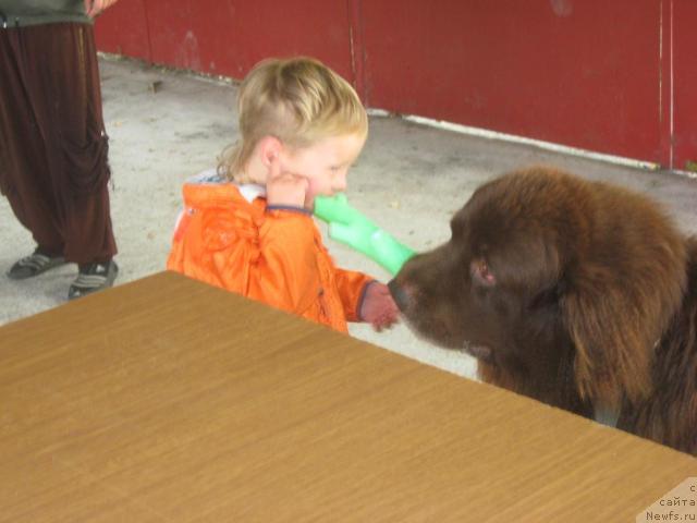 Фотография № 32998