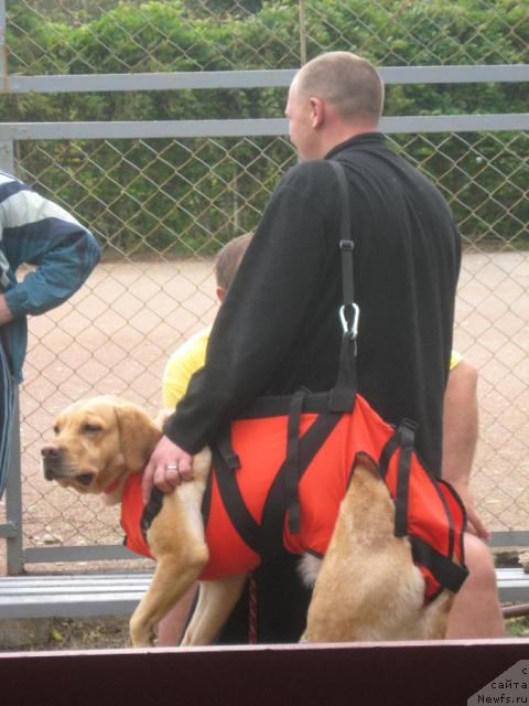 Фотография № 32999