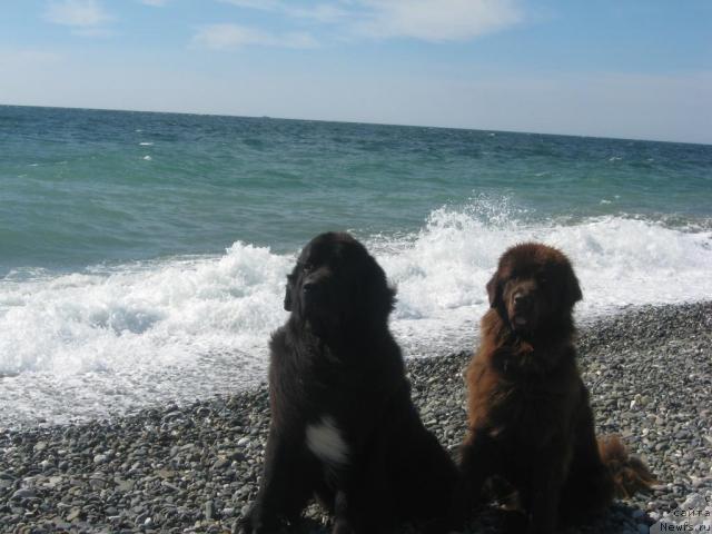 Фотография № 33000