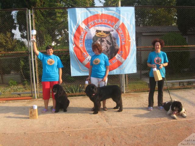 Фотография № 33002