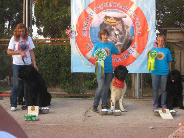 Фотография № 33004