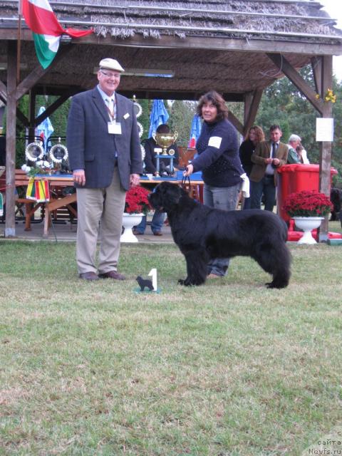 Фото: Midnight Lady\'s Kind of Magic