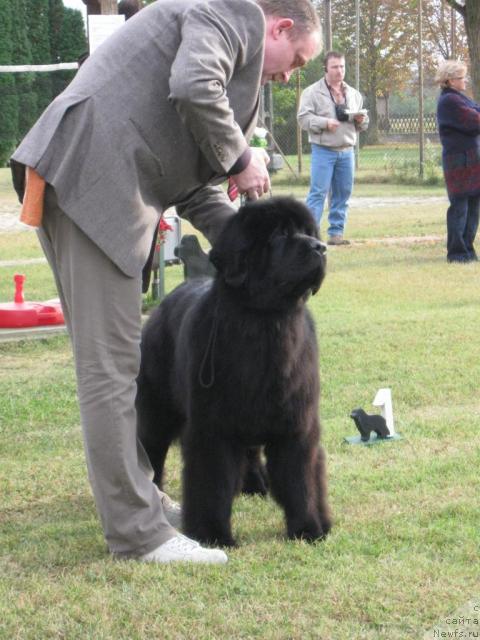 Фото: Naomi Z Kapieliska Marzeny