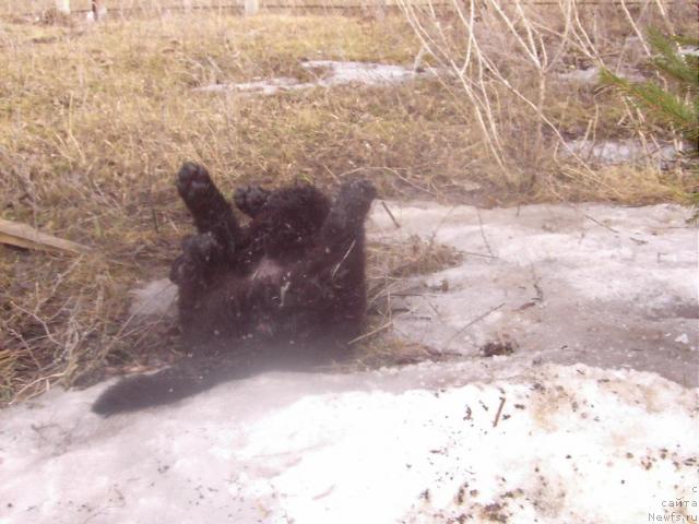 Фотография № 3305