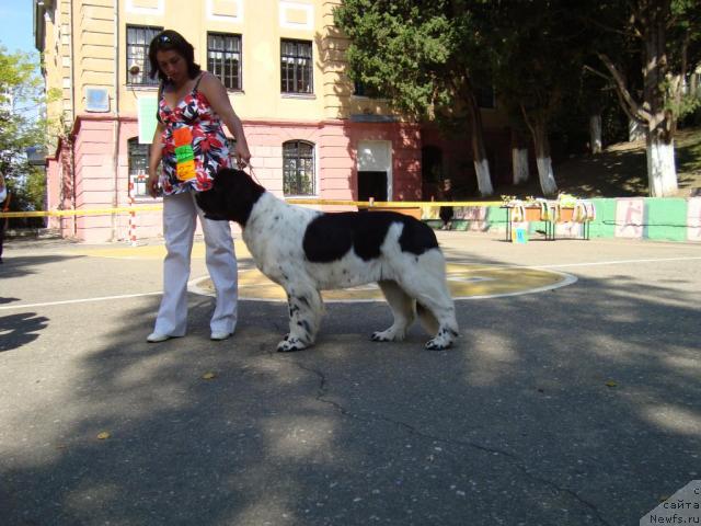 Фотография № 33068