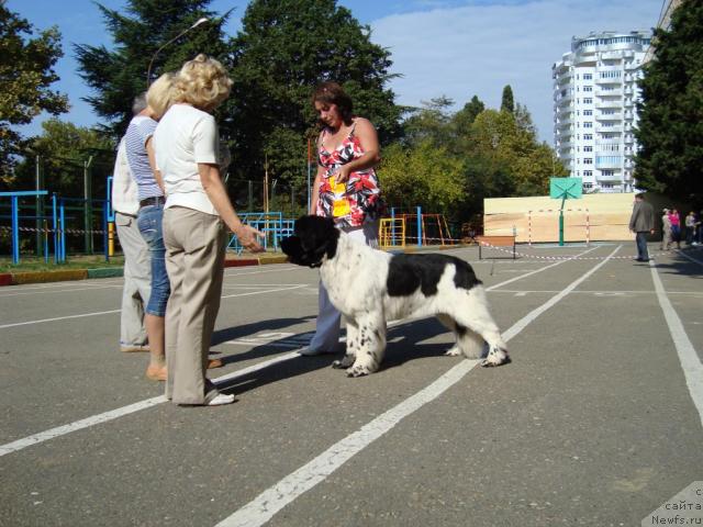 Фотография № 33072