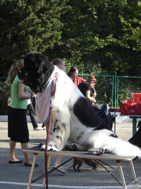 Фотография № 33075