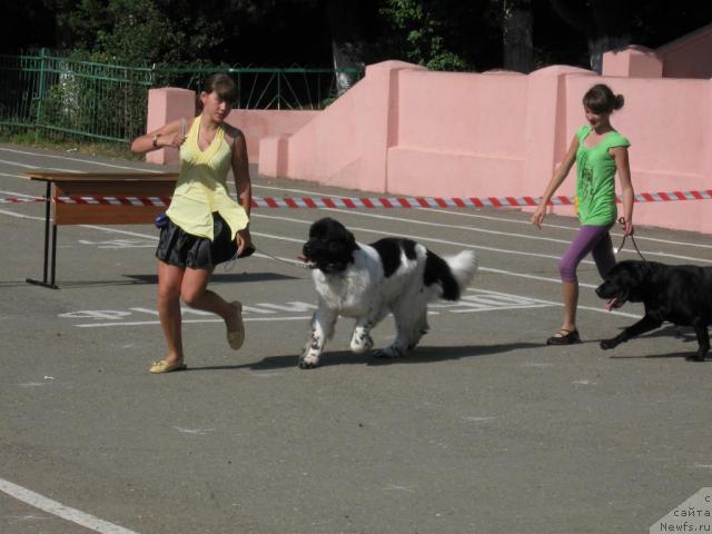 Фотография № 33090