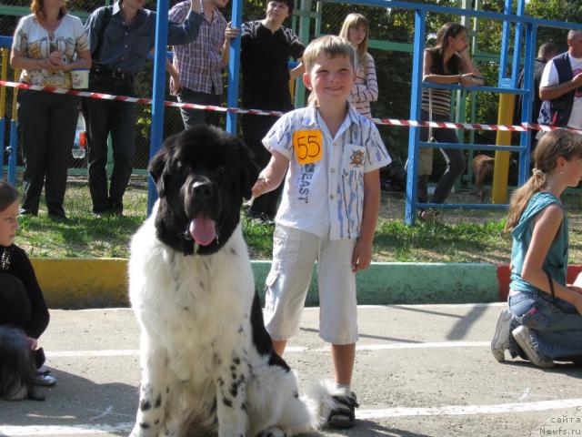 Фотография № 33107