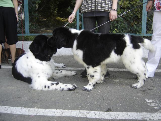 Фотография № 33110