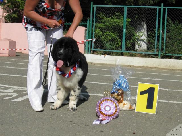 Фотография № 33111