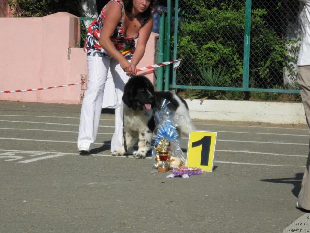 Фотография № 33113