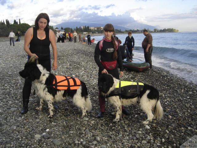 Фотография № 33128